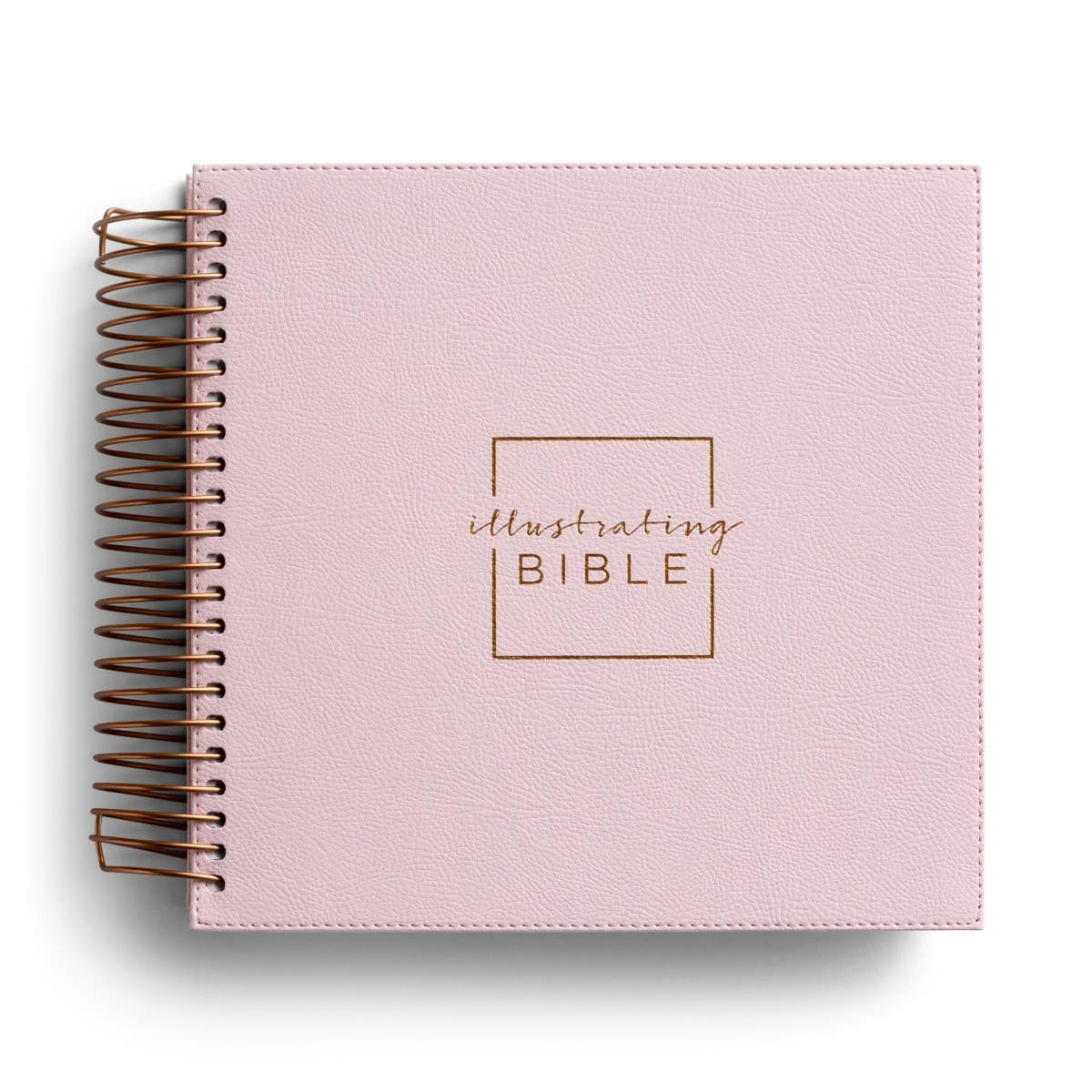 Bibles