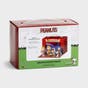 Roman - Peanuts® Christmas Pageant Nativity Set
