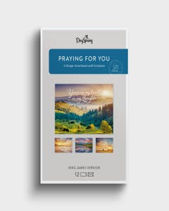 Praying for You - Heartfelt Expressions - 12 Boxed Cards and Envelopes, KJV