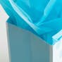 Trust in The Lord - Medium Gift Bag with Tissue Paper - 130 Bags - Bulk Discount