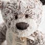 I'll Be Here for You - Plush Giving Bear