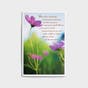 Graduation - Your Life Is Unfolding - 3 Premium Cards
