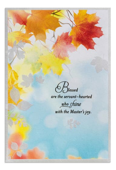 Appreciation - Blessed Are Servant Hearted - Set of 3 Greeting Cards