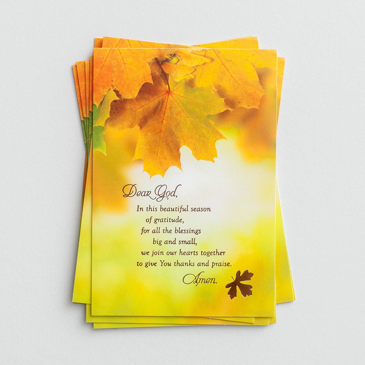 Thanksgiving - Beautiful Season of Gratitude - 8 Note Cards