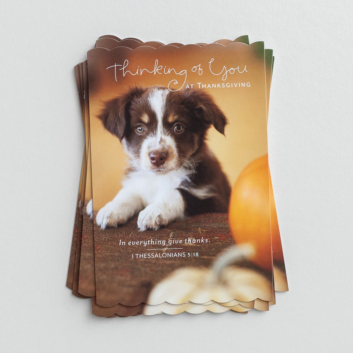 Thanksgiving - Thinking of You at Thanksgiving - 8 Note Cards