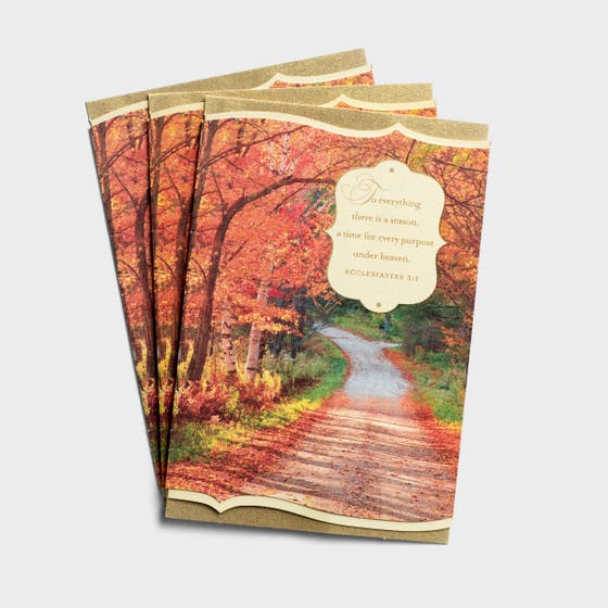 Thanksgiving - There is a Season - 3 Greeting Cards