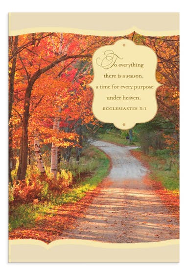 Thanksgiving - There is a Season - 3 Greeting Cards