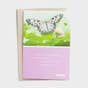Max Lucado - Sympathy - Tender Comfort - 6 Greeting Cards