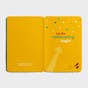 Peanuts - Graduation - Let's Celebrate - 3 Premium Cards