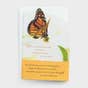 Bright Blessings - Praying for You - Precious to God - 6 Greeting Cards