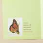 Bright Blessings - Praying for You - Precious to God - 6 Greeting Cards