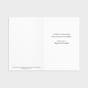 Prince of Peace, Righteous One - 18 Premium Christmas Boxed Cards