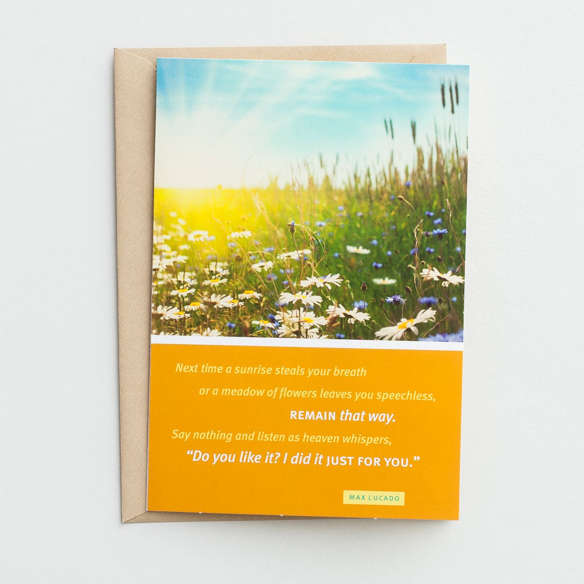 Max Lucado - Birthday - Just for You - 6 Greeting Cards