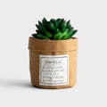 Faux Succulent - Grateful