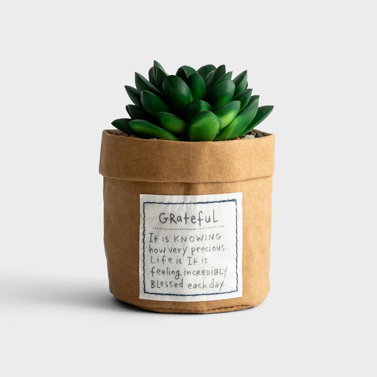 Faux Succulent - Grateful