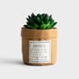 Faux Succulent - Grateful