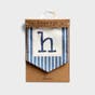 Hooray - Celebration Banner