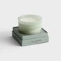 Restore - Giving Candle - Silver Sage Leaf
