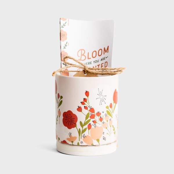 Demdaco - Bloom Where You Are Planted - Planter & Journal Gift Set