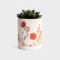 Bloom Where You Are Planted - Planter & Journal Gift Set