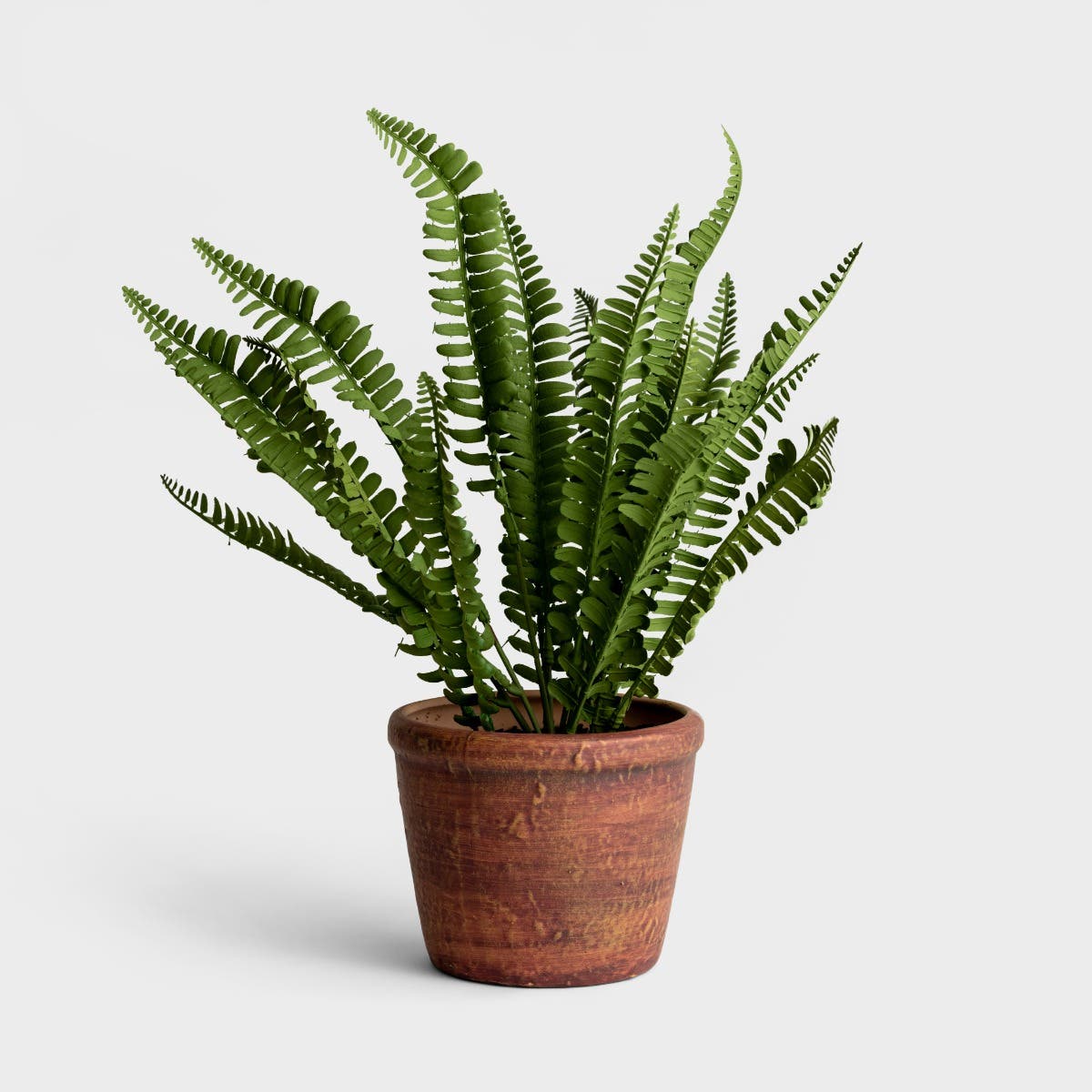 Demdaco - Potted Faux Boston Fern