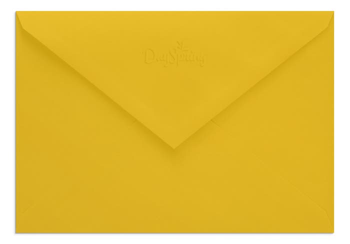Birthday - Dad - Fun Starts Here - 1 Premium Card