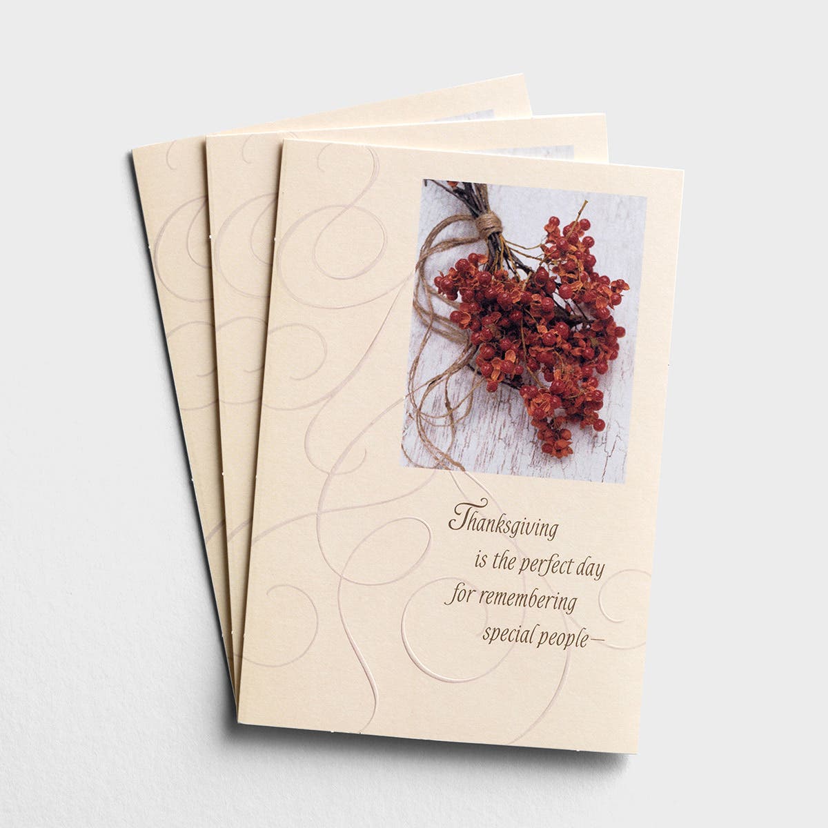 Thanksgiving - The Perfect Day - 3 Premium Cards