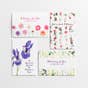 Mother's Day Assortment - 24 Boxed Cards and Envelopes