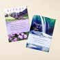 Encouragement - Bold Promises - 2 Box Set