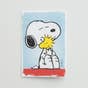 Peanuts® - Encouragement - Just Thinking - 12 Boxed Cards and Envelopes