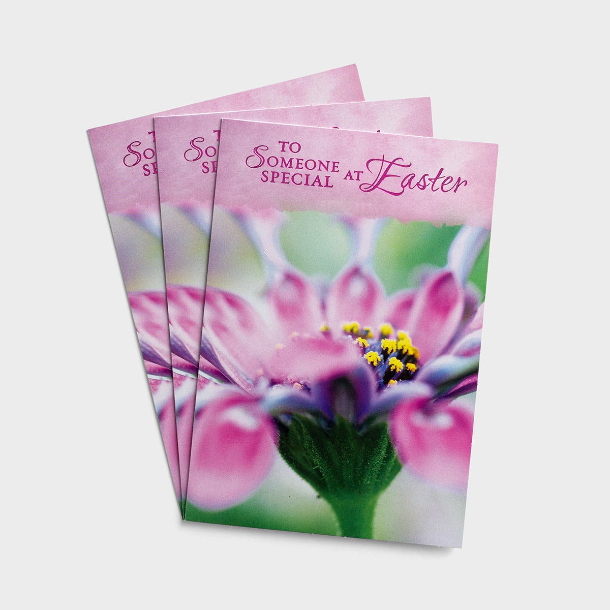 Easter - To Someone Special - 3 Premium Cards