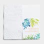Confirmation - Celebrating Your Confirmation - 3 Money or Gift Cards