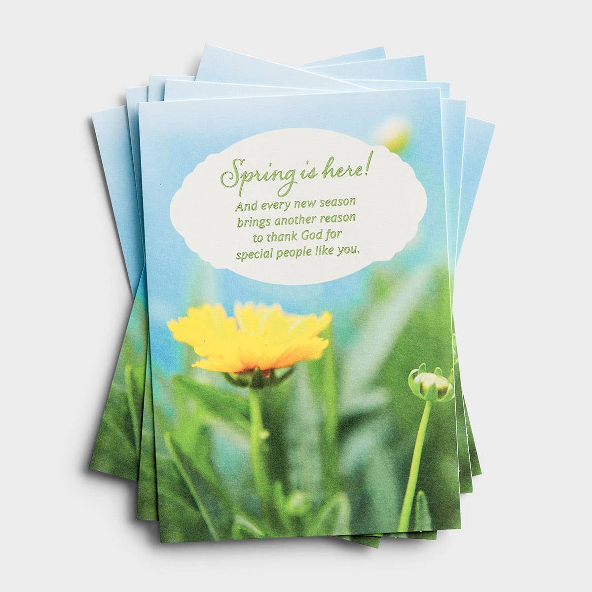 DaySpring offers Inspirational Seasonal Note Cards, including Easter Note Cards with Beautiful Designs!