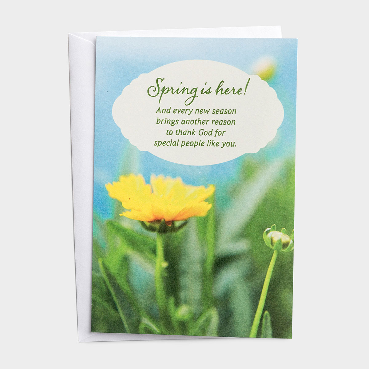 DaySpring offers Inspirational Seasonal Note Cards, including Easter Note Cards with Beautiful Designs!