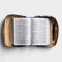 Primrose Path - Bible Cover