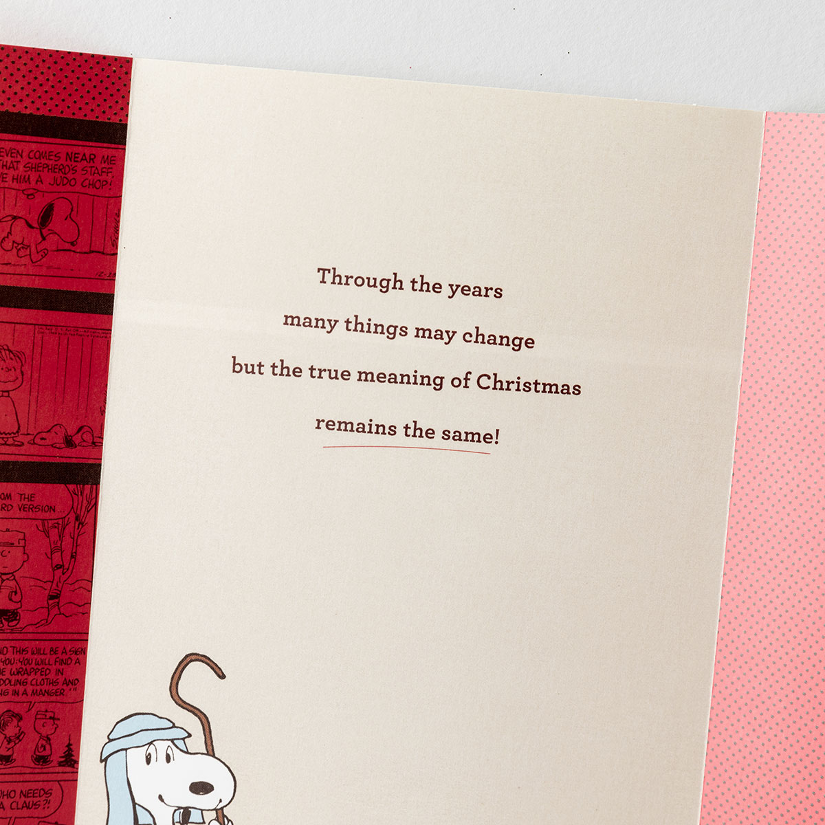 Peanuts Christmas - Saviour, Christ the Lord - 18 Premium Christmas Boxed Cards, KJV