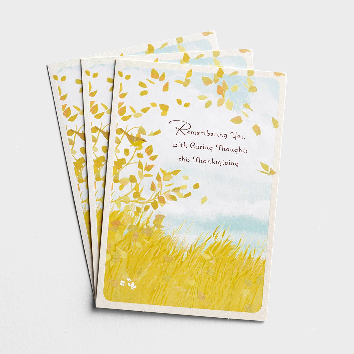 Difficult Thanksgiving - Remembering You With Caring Thoughts - 3 Greeting Cards