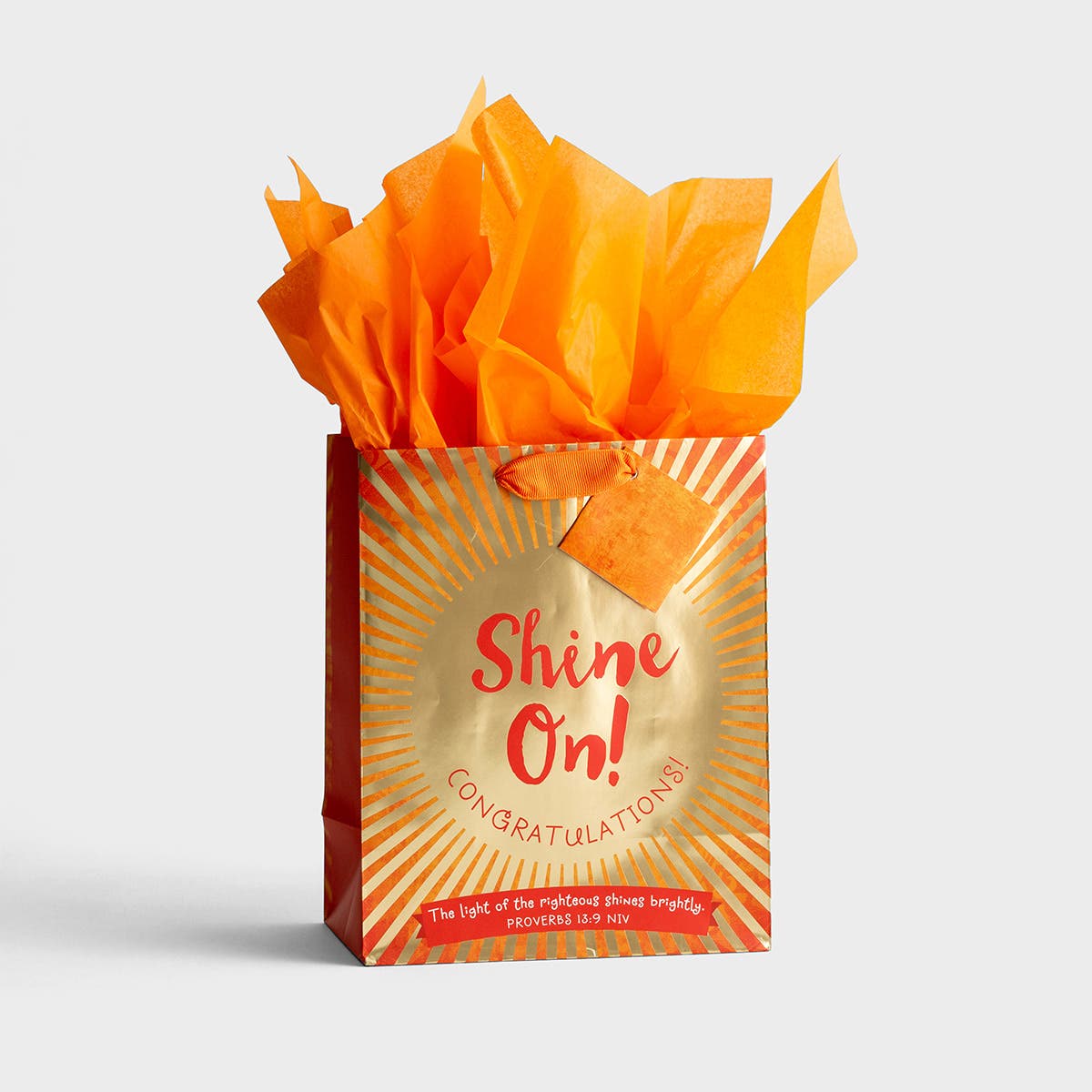 Shine On - Medium Gift Bag  with Tissue