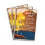 Ministry Appreciation - Thank You, Lord - 3 Greeting Cards