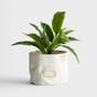 Large White Multi-Purpose Holder