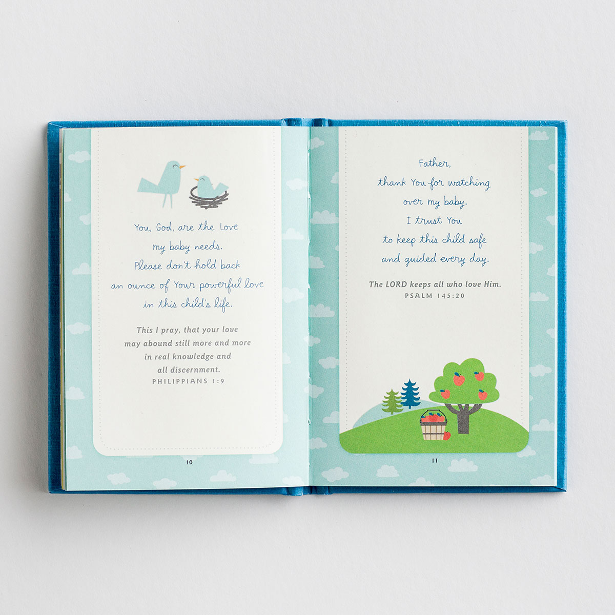 Bedtime Blessings for Your Baby is perfect for a new mom who wants to speak life and truth over her little one. This small book can be kept at arms reach so that you can read beautiful and comforting prayers over your most precious gift from God.