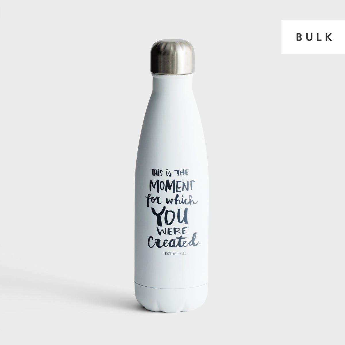 You Were Created - 24 Stainless Steel Water Bottles - Bulk Discount