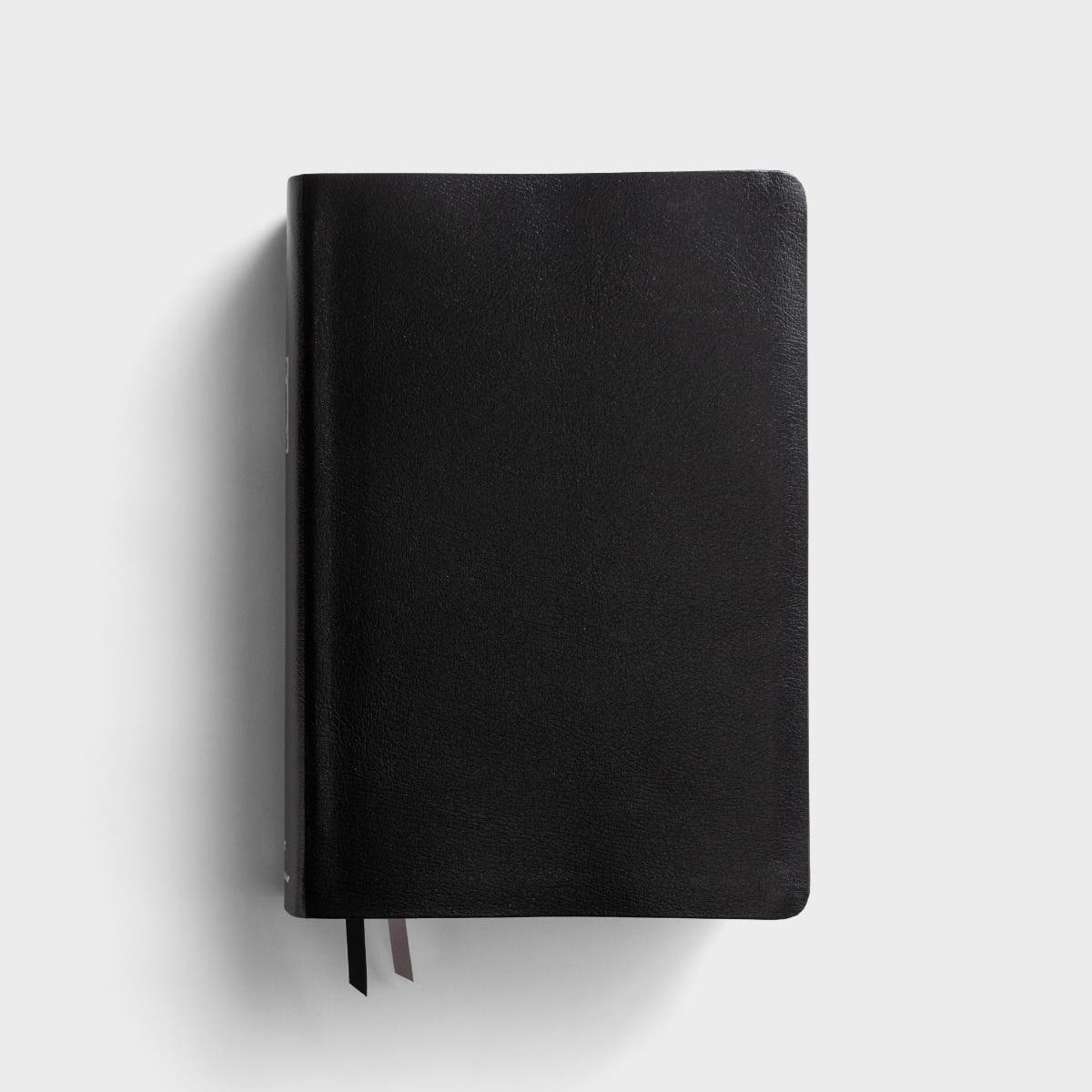 NIV - Large-Print Study Bible