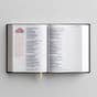 NIV Journal the Word Bible for Women