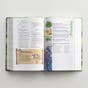 NIV Adventure Bible, Hardcover