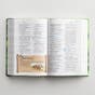 NIV Adventure Bible, Hardcover