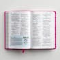 NIV Adventure Bible, Pink