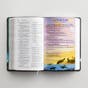 NIV Adventure Bible, Gray