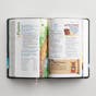 NIV Adventure Bible, Gray