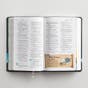 NIV Adventure Bible, Gray